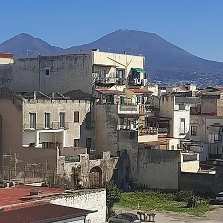 Pacis Napoli