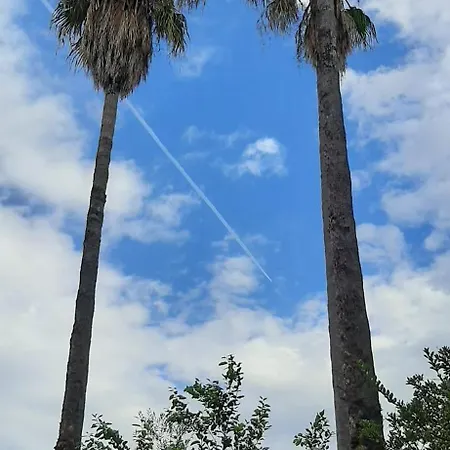 パチス * ナポリ