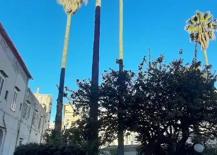 Bed & Breakfast Pacis